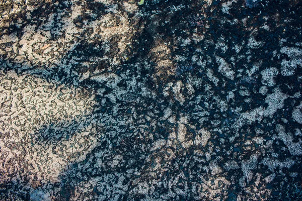 Gamla natursten täckt med svart lavar och mossor. Vacker sten — Stockfoto