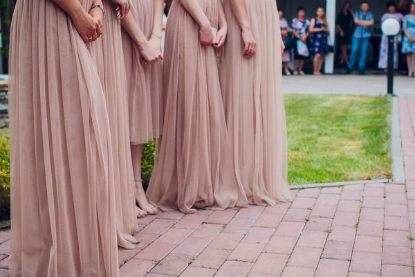 Glorious bridesmaids in pink dresses — Stock Photo, Image