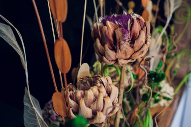 vintage sesi, arka plan dokusu, düz yatıyordu kavramı Kuru çiçekler