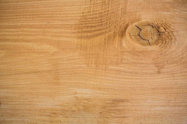 Doğal ahşap arka plan doku. Kesit ağaç gövdesi kadar kapatın. eski ağaç güdük doku arka plan