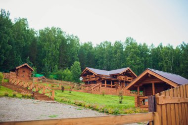 Modern günlük kabin ev orman ortamında