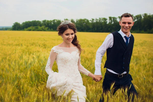 Pareja novia y novio en campo fondo . —  Fotos de Stock