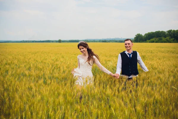 Pareja novia y novio en campo fondo . —  Fotos de Stock