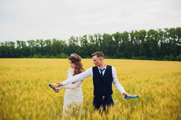 Couple bride and groom on field background. — Stock Photo, Image