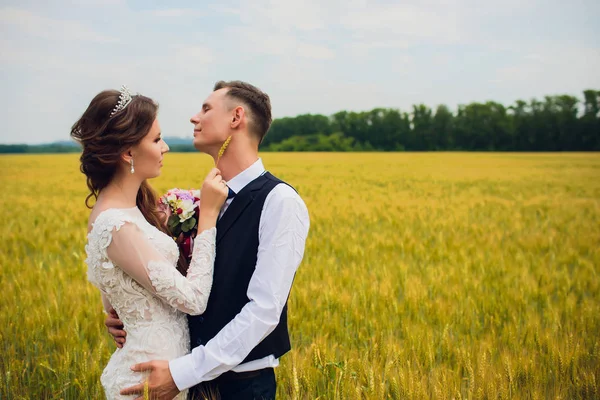 Pareja novia y novio en campo fondo . —  Fotos de Stock