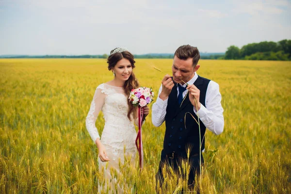 夫婦の花嫁と新郎が畑を背景に. — ストック写真