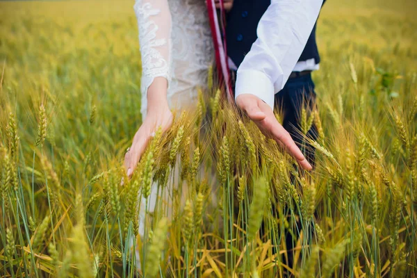 Couple mariée et marié sur fond de champ . — Photo