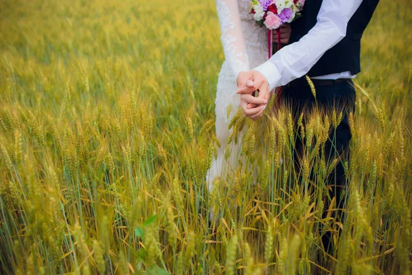 夫婦の花嫁と新郎が畑を背景に. — ストック写真