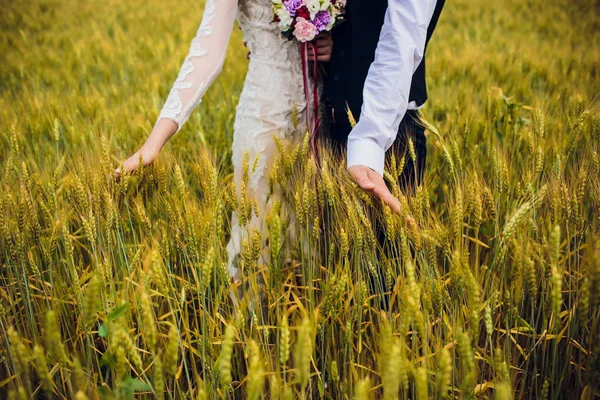 Пара жених и невеста на фоне поля . — стоковое фото