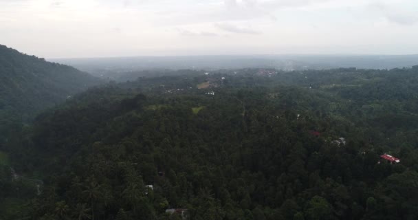 Облака над зелеными лесами. Вид с воздуха на тропические леса в горах с белым туманом, облака, Бали, Индонезия. Туман над джунглями. 4K аэросъемка . — стоковое видео
