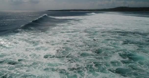 Mladá surfovat Portrét muže na pláži s surfovací prkno. Balian Beach — Stock video