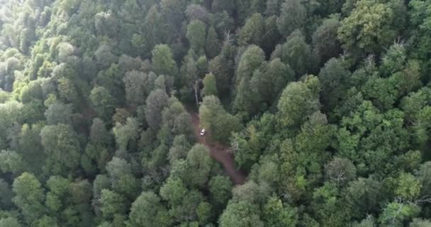 Aerial view of a country road in the forest with moving cars. Landscape. Captured from above with a drone. Aerial birds eye road with car. Aerial top view forest. Texture of forest view from above. — Stock Video