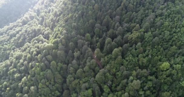 Εναέρια άποψη του δρόμου μια χώρα μέσα στο δάσος με κινούμενα αυτοκίνητα. Τοπίο. Συλλαμβάνονται από πάνω με ένα... drone. Εναέρια πτηνών μάτι δρόμος με το αυτοκίνητο. Αεροφωτογραφία πάνω δάσος. Υφή της θέα στο δάσος από ψηλά. — Αρχείο Βίντεο