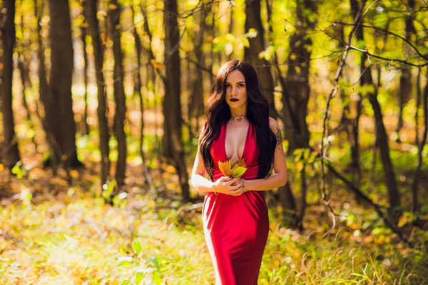 Mujer con un largo vestido rojo sola en el bosque. Fabulosa y misteriosa imagen de una niña en un bosque oscuro bajo el sol de la noche. Puesta de sol, princesa se perdió . — Foto de Stock