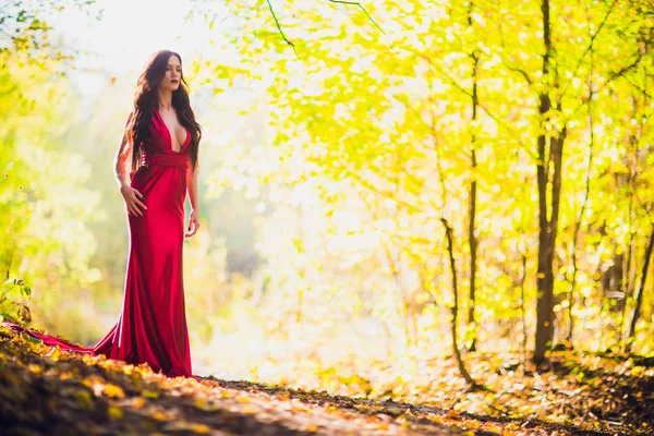 Жінка в довгій червоній сукні сама в лісі. Казковий і загадковий образ дівчини в темному лісі під вечірнім сонцем. Захід сонця, принцеса загубилася . — стокове фото