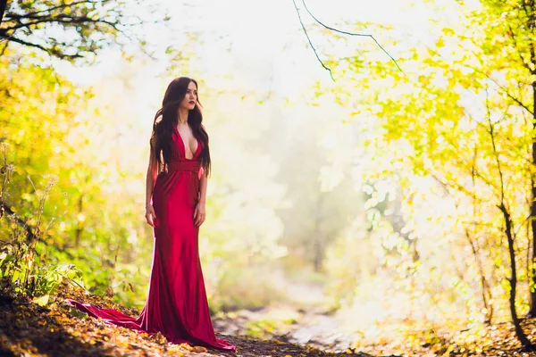 Femme vêtue d'une longue robe rouge seule en forêt. Image fabuleuse et mystérieuse d'une fille dans une forêt sombre au soleil du soir. Coucher de soleil, Princesse s'est perdue . — Photo