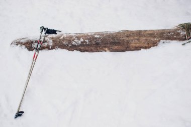 Nordic kayakçı kış orman üzerinde kar ile kaplı.