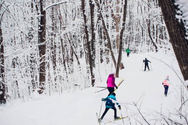 Nordic kayakçı kış orman üzerinde kar ile kaplı.