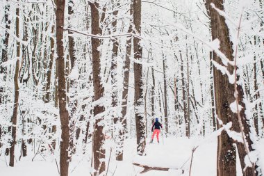 Nordic kayakçı kış orman üzerinde kar ile kaplı.