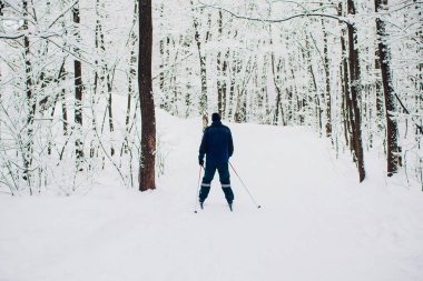 Nordic kayakçı kış orman üzerinde kar ile kaplı.