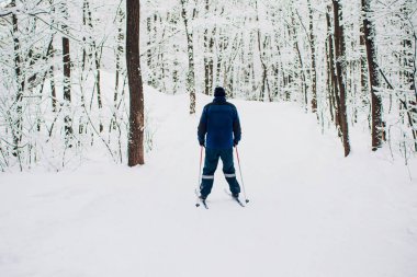 Nordic kayakçı kış orman üzerinde kar ile kaplı.