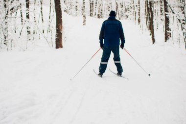 Nordic kayakçı kış orman üzerinde kar ile kaplı.