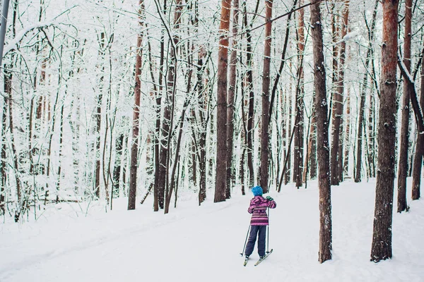 Noords skiër op het witte winter forest vallende sneeuw. — Stockfoto