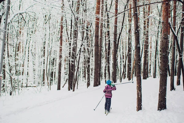 Noords skiër op het witte winter forest vallende sneeuw. — Stockfoto