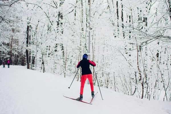 Нордичної лижник на білий зимовий ліс, покритий сніг. — стокове фото