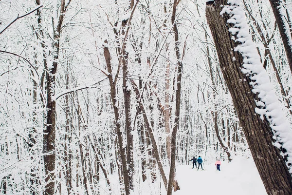 Noords skiër op het witte winter forest vallende sneeuw. — Stockfoto