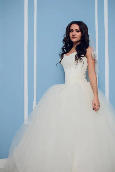 Mujer novia hermosa en vestido de novia y retrato veil.fashion de novia hermosa joven. Vestido de novia . — Foto de Stock