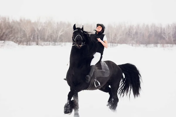 Friesenhengst läuft im Winterfeld. — Stockfoto