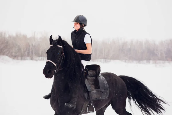 Semental frisón corriendo en campo de invierno . — Foto de Stock