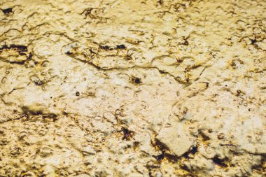 Altın Arkaplan veya Doku ve Gradyan Gölgesi.