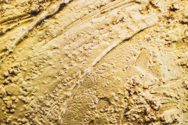 Altın Arkaplan veya Doku ve Gradyan Gölgesi.