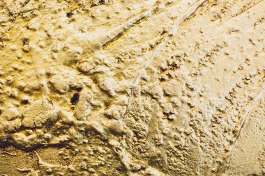 Altın Arkaplan veya Doku ve Gradyan Gölgesi.