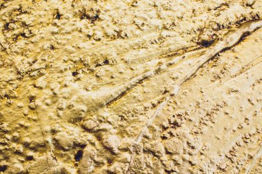 Altın Arkaplan veya Doku ve Gradyan Gölgesi.