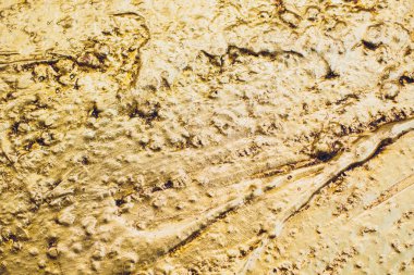 Altın Arkaplan veya Doku ve Gradyan Gölgesi.