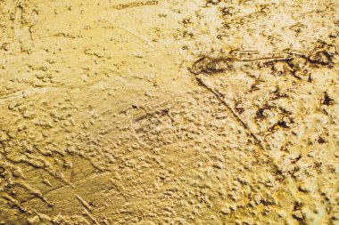 Altın Arkaplan veya Doku ve Gradyan Gölgesi.