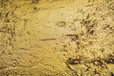 Altın Arkaplan veya Doku ve Gradyan Gölgesi.