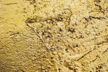 Altın Arkaplan veya Doku ve Gradyan Gölgesi.