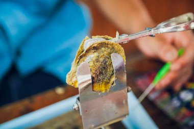 El inci holding cımbız ve ahşap arka plan üzerinde istiridye.