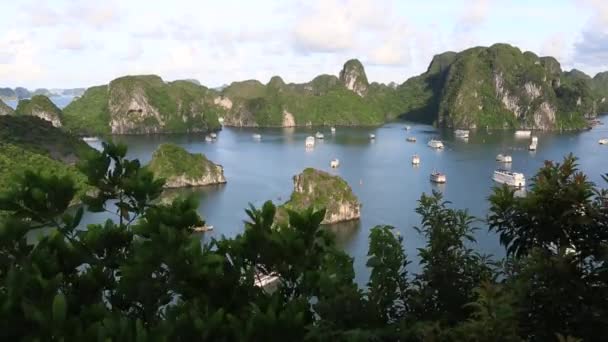 Ha Grotte Long Bay Vietnamview der Halong Bay, hängen Sung Sot Hafen — Stockvideo