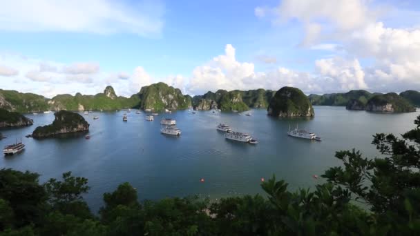 Cave Long Bay Vietnamview Halong Bay Hänga Sung Sot Hamn — Stockvideo