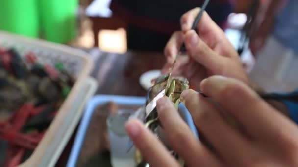 Granja de perlas donde buceadores sumergen conchas fuera del mar y cultivan perlas filmadas muestra una concha con tres perlas y una mujer poniendo una perla de nuevo en la ostra Vietnam Phu Quoc visita turística 4k — Vídeo de stock