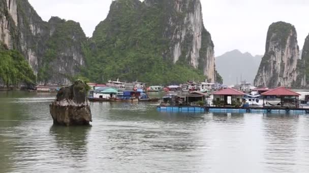 Ha Long Bay VietnamVista de la bahía de Halong, puerto cueva Hang Sung Sot — Vídeo de stock