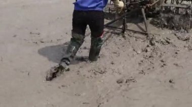 Havadan görünümü Vietnam traktör pirinç tarlaları