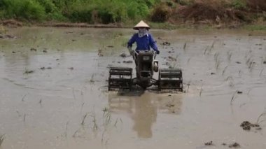 Havadan görünümü Vietnam traktör pirinç tarlaları