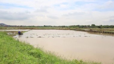 Havadan görünümü Vietnam traktör pirinç tarlaları