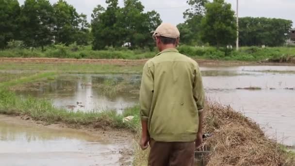 Vista aérea Vietname trator campos de arroz — Vídeo de Stock